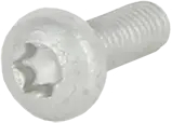 schraube-pan-head-screw-din7985-m4x12-tx20-10012812.584587