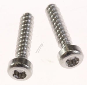 Schraube DELTA PT 30X14 WN5452 ROSTFR.A2, 2 Stck. 00621809