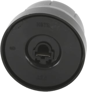 Drehgriff-Kochstelle 10000721