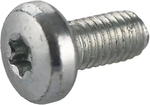 Schraube für Bosch-Geräte 10012233 Befestigungselement