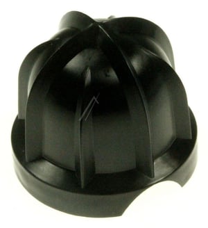 kegel-big-cone-12002958.549808