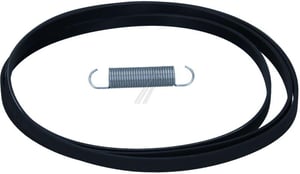 Antriebsriemen und Feder für Hisense/Gorenje Trockner 441973 Riemen, Feder
