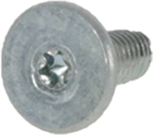 befestigungsschraube-fuer-kuehlschrank-bsh-gruppe-00151934-metall-klein.611082