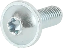 schraube-fuer-bosch-zubehoer-10012287-befestigung.565575