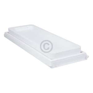 Gefrierfachtüre mit Dichtung Griff BOSCH 00299580 für Kühlschrank