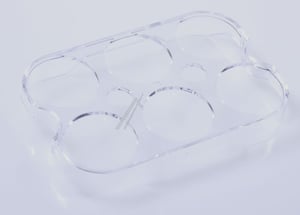 eiereinsatz-fuer-hisense-gorenje-kuehlschrank-hk2197006-kuehlschrank-zubehoer.520659