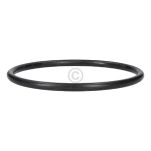 Dichtung Sieb / Pumpentopf 172mmØ passend für AEG 899646121770/6