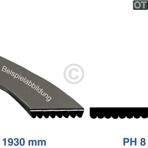 Keilrippenriemen 1930PH8 BOSCH 00437367 für Trockner