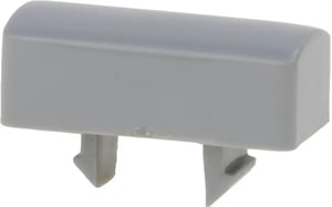 Taste für Kühlschrank BSH-Gruppe 00425790 Tür, weiß