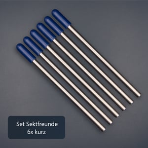 Edelstahl Glashalter für Geschirrspüler mit blauen Kappen - Set Sektfreunde