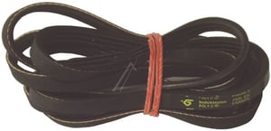 Poly-V-Riemen Trockner Hutchinson 1895J3 Antriebsriemen