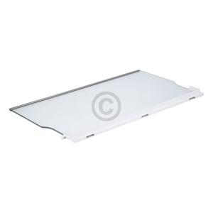 Glasplatte SIEMENS 00662023 455x296mm mit Leisten für Kühlschrank KühlGefrierKombination