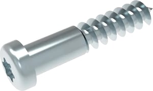 schraube-fuer-sonstiges-bosch-10003574-befestigungselement.653034