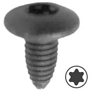 befestigungsschraube-fuer-ofen-bosch-00172646-kleine-schraube.591128