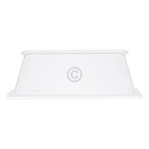 Glasplatte oben für Kühlteil Bauknecht C00899660 450x300mm mit Leisten in