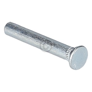 scharnierstift-zur-tueroeffnungsbegrenzung-bosch-00173630-in-kuehlgefrierkombinatio.384043