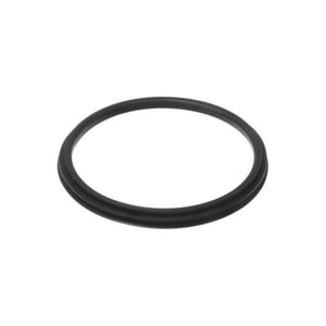 Dichtung-Begrenzer 10004102