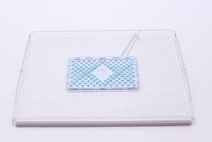 Haier Kühlschrank Abdeckung 49073587 Feuchtigkeitsschublade