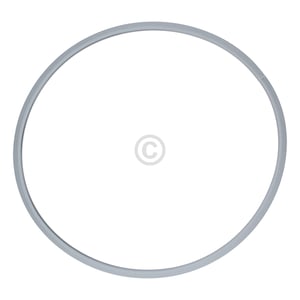 Türdichtung original gorenje 594873 