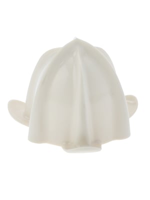 Kegel für Zitruspresse Bosch 00424278 Antrieb