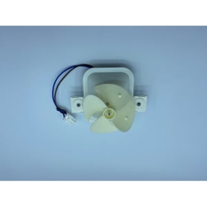 fan-group-4305895000.549637