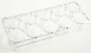 egg-tray-fuer-kuehlschrank-beko-c00873985-eierablage.516835
