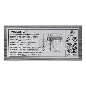 Collektormotor für Candy Waschmaschine 43014125 Antrieb