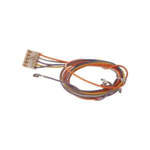 Kabelbaum 10005965