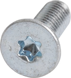 Befestigungsschraube für Sonstiges Bosch 10004503 Metall, 10mm