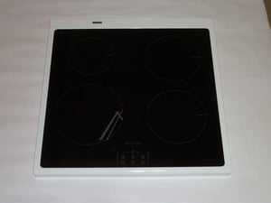 Glasplatte mit Rahmen (5612197169)