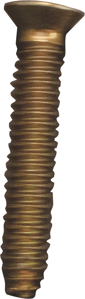 schraube-fuer-geschirrspueler-bsh-gruppe-00425997-befestigungselement.641283