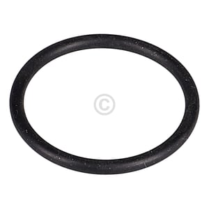 lampendichtung-fuer-waeschetrockner-1051180006.442240