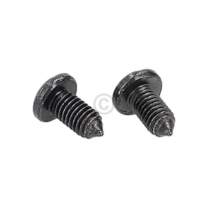 Schraube BO-TUERSCHARNIER M5x8 00154763