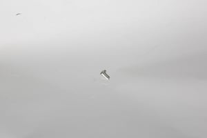 fixierschraube-fuer-mikrowelle-bosch-00631579-befestigung.565629