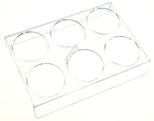 ablagefach-fuer-kuehlschrank-beko-c00883308-glas-kuehlschrankregal.513887