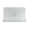 Glasplatte AEG 225153106/3 475x305mm für Kühlschrank